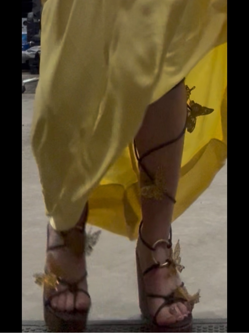 Butterfly-Embellished Brown Lace-Up Platform Sandals/wedge - Women